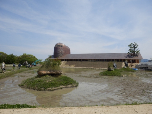 水田の奥には、建築家藤森照信氏の設計による間も無く完成するたねや本社屋