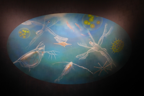 微生物の壁画